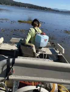 A person on a boat applying chemicals to aquatic plants.