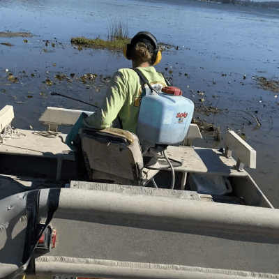 A person on a boat applying chemicals to aquatic plants.