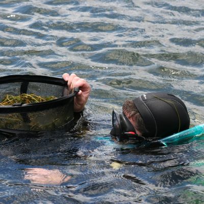 Manta diver in lake.